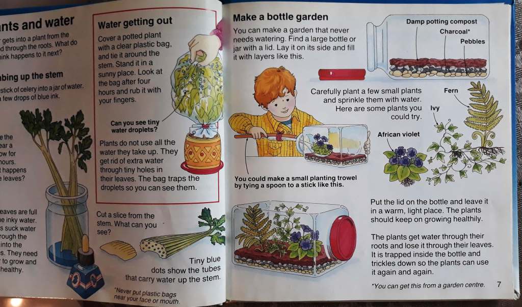 thefabulousscientist_homeschooling