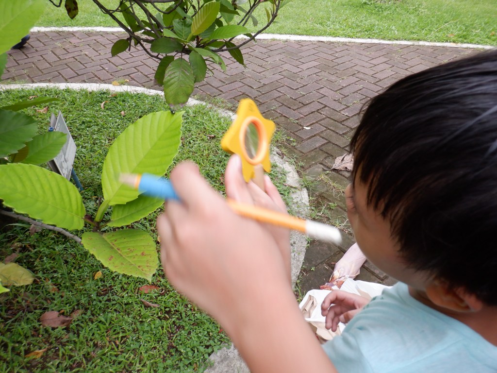 thefabulousscientist_homeschooling