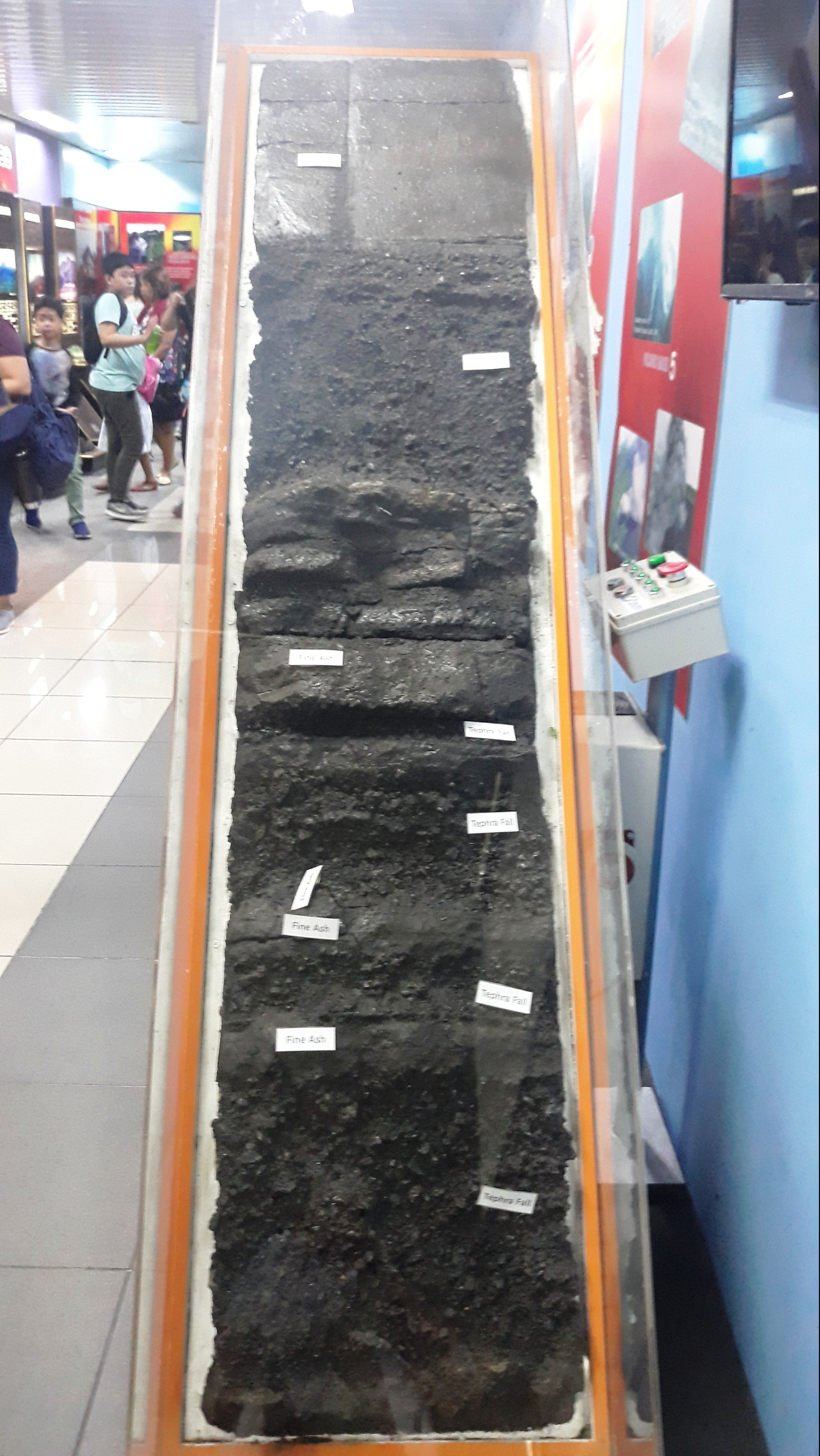 thefabulousscientist_homeschooling