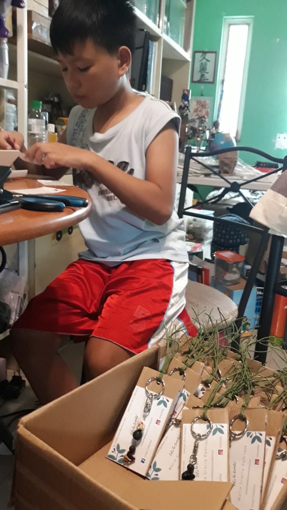 thefabulousscientist_homeschooling