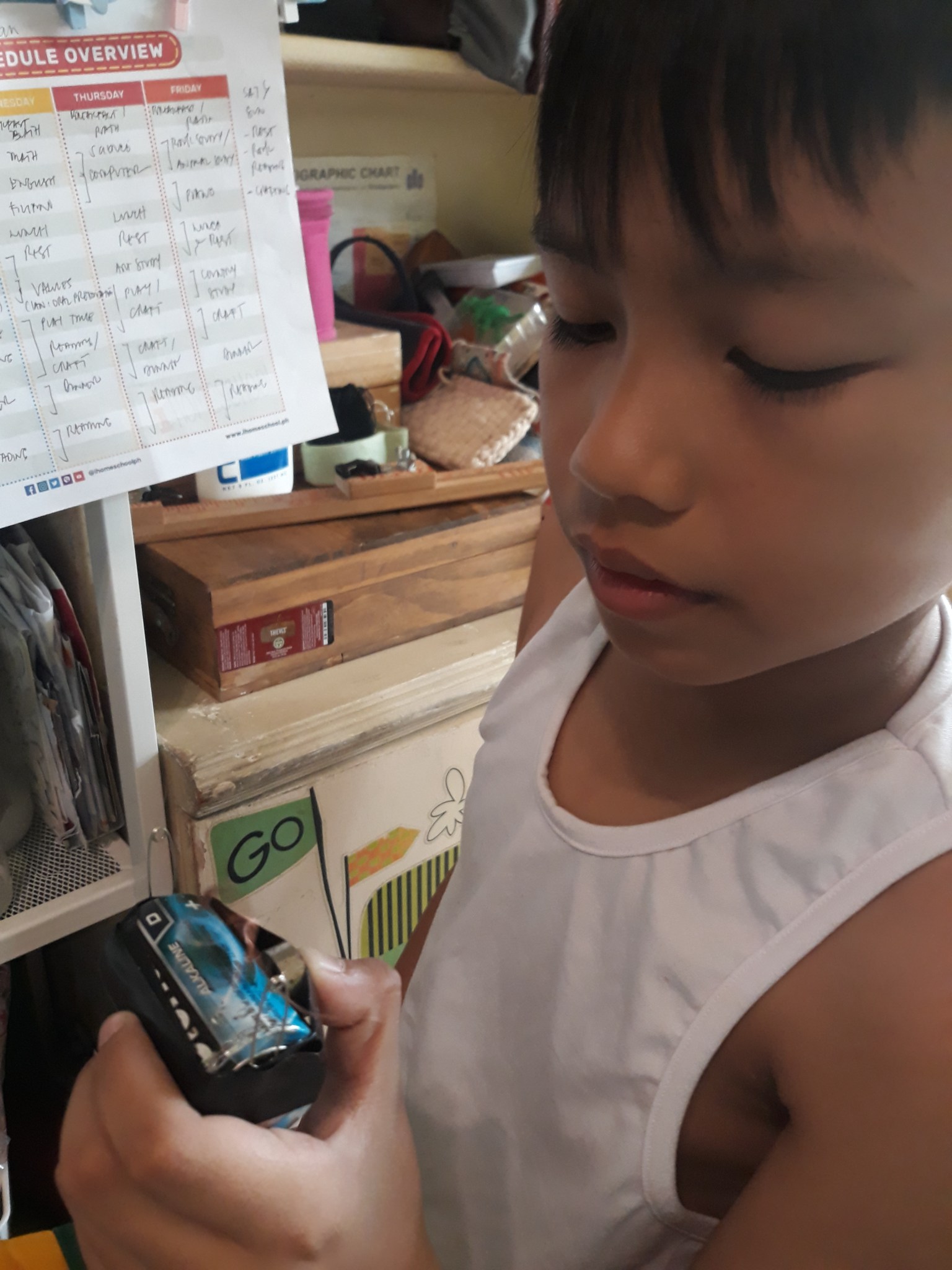 January 2020 Homeschooling Highlights – The Fabulous Scientist