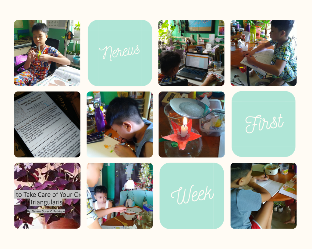 photocollage of Nereus' first week