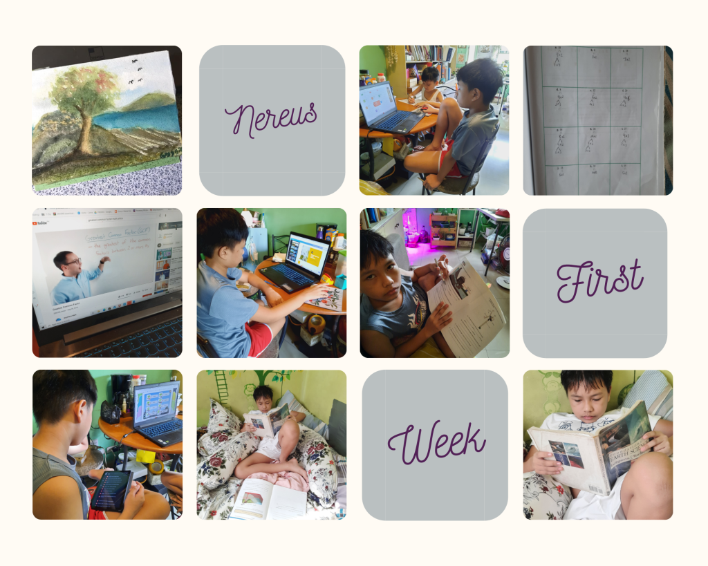 homeschooling highlights photo collage
