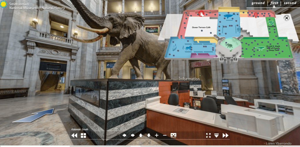 Smithsonian natural history museum virtual tour