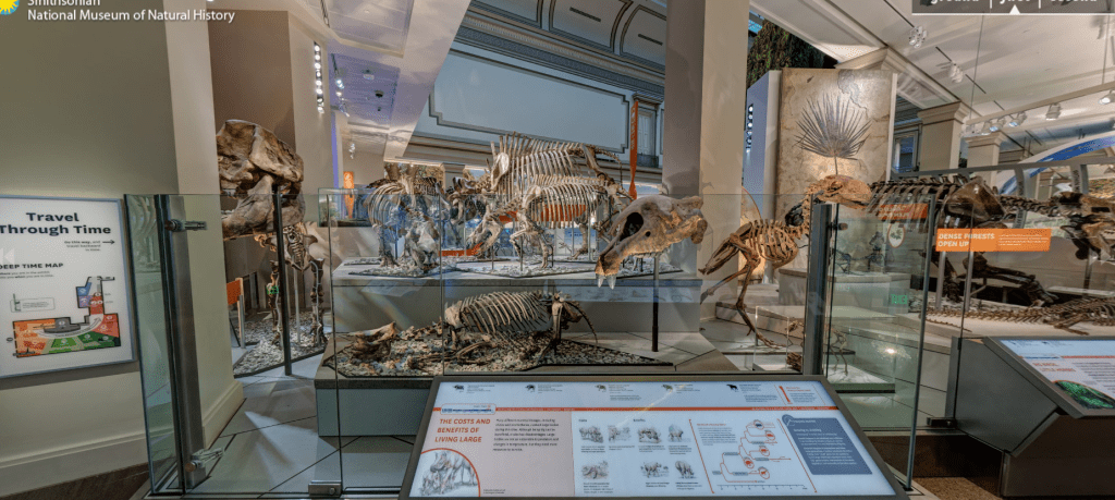 Smithsonian natural history museum virtual tour