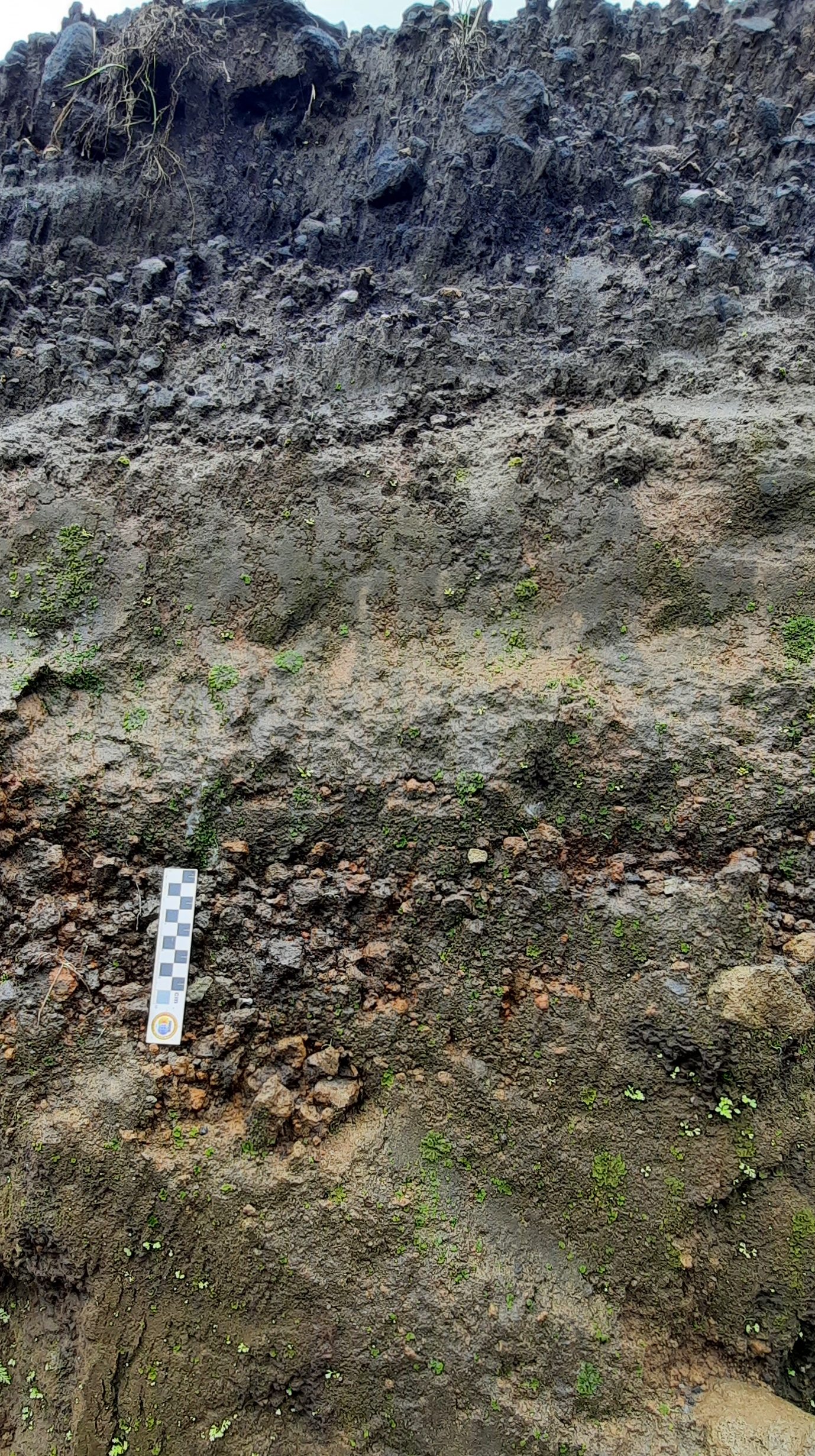 tephra layer of Mayon