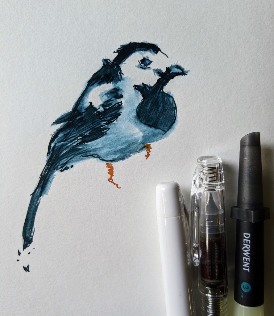 sketching bird with Derwent water brush and fountain pens