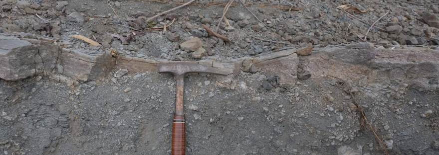 Alodapic Limestone
